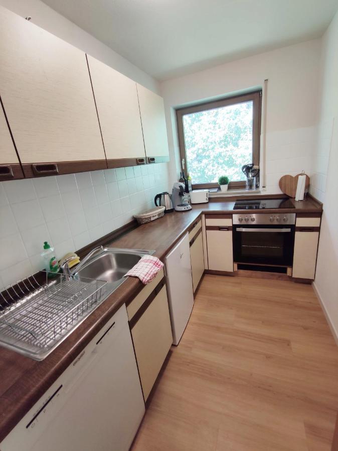 Appartement Black Forest Living - Todtnauberg Extérieur photo