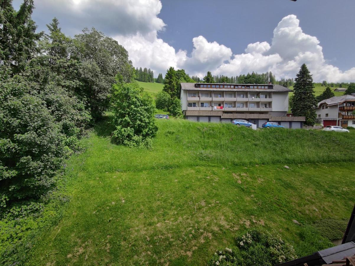 Appartement Black Forest Living - Todtnauberg Extérieur photo