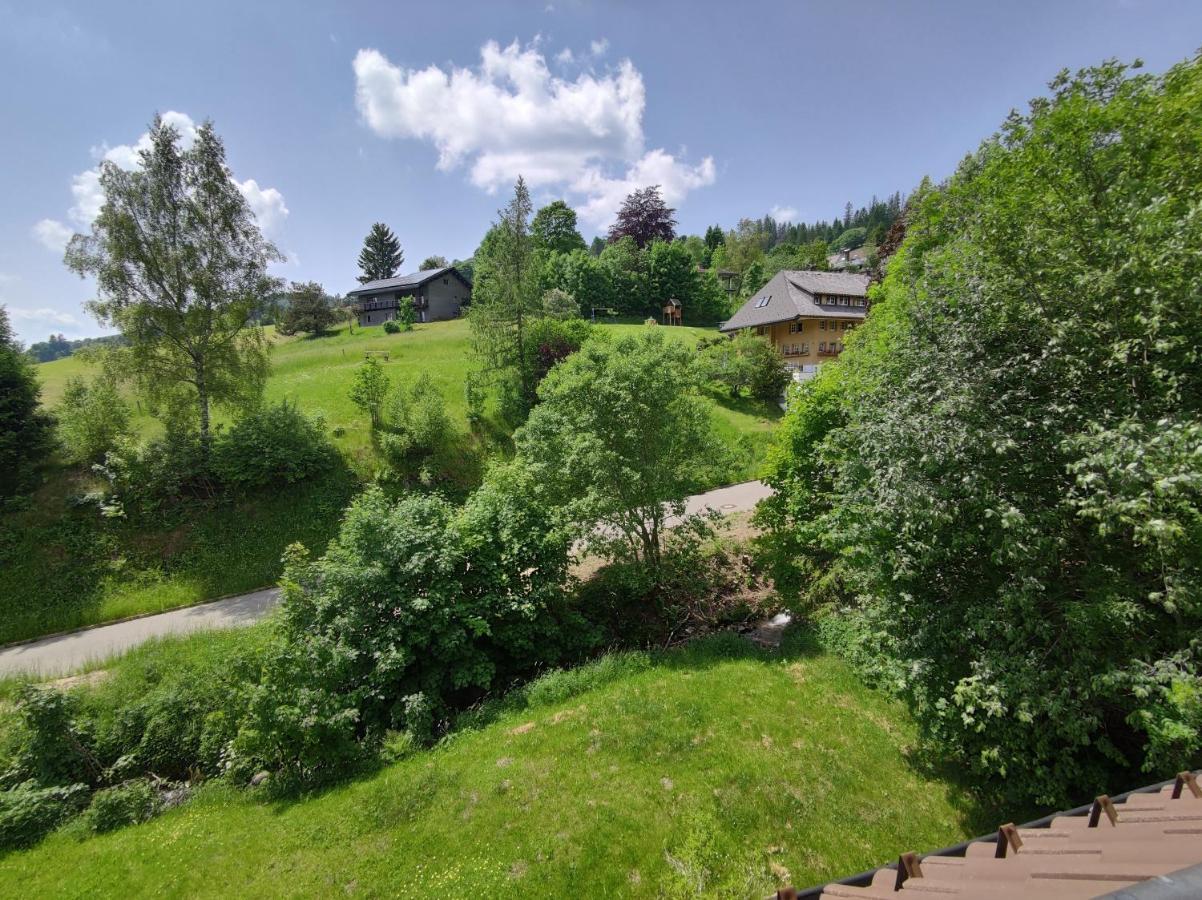 Appartement Black Forest Living - Todtnauberg Extérieur photo
