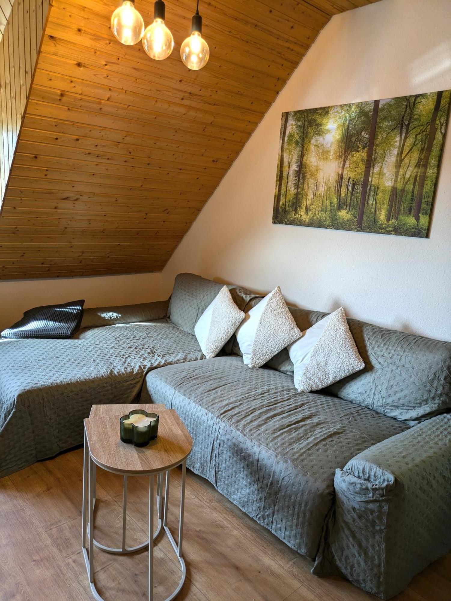 Appartement Black Forest Living - Todtnauberg Extérieur photo