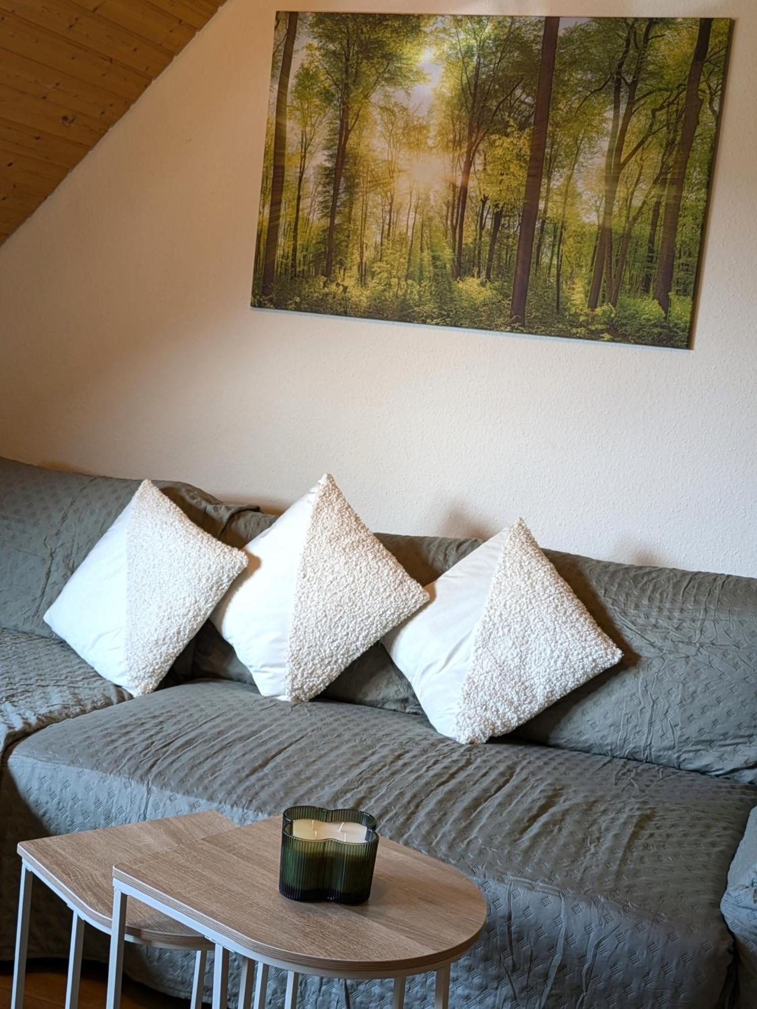Appartement Black Forest Living - Todtnauberg Extérieur photo